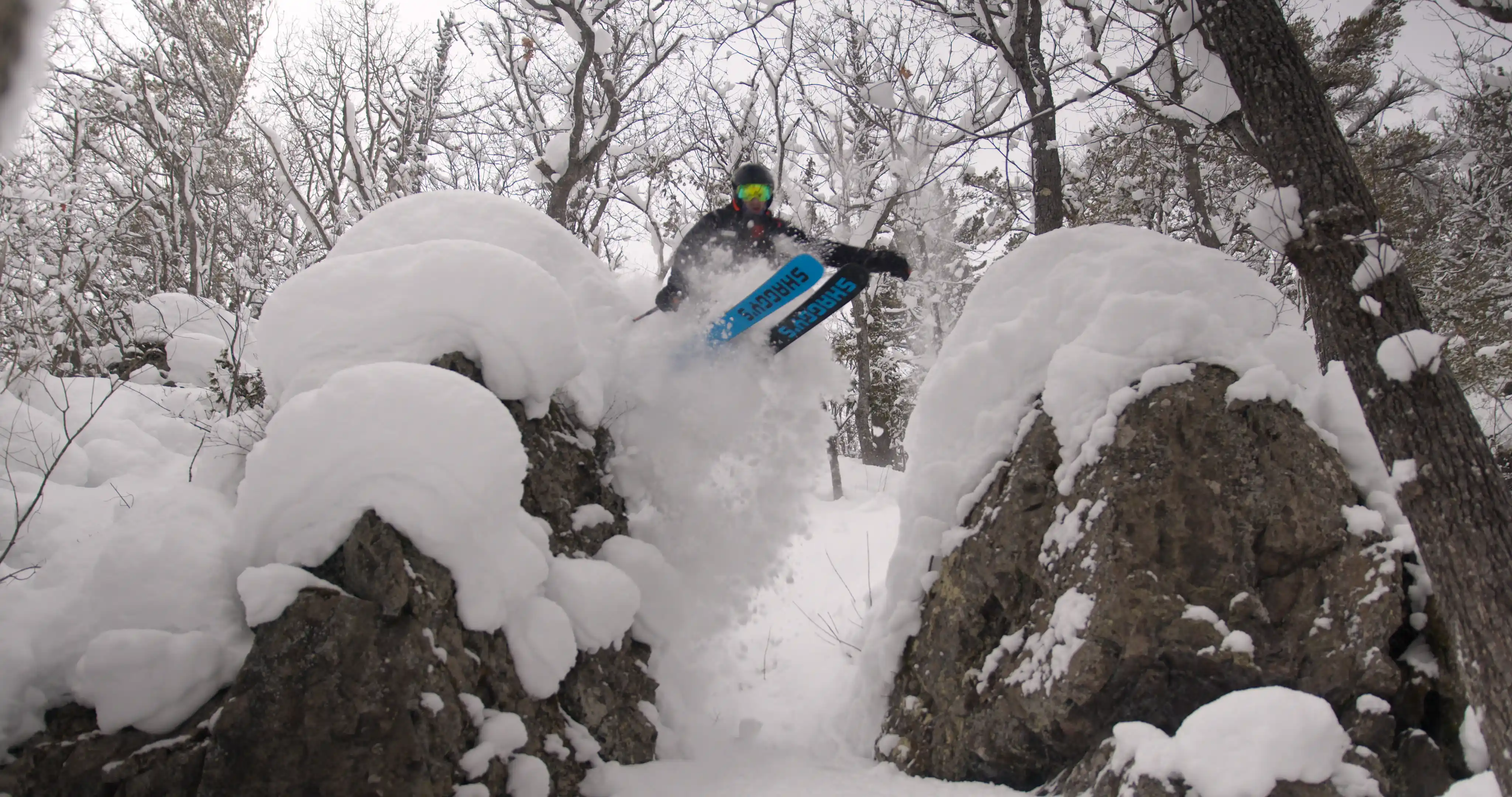 Best Skier on the Mountain trailer